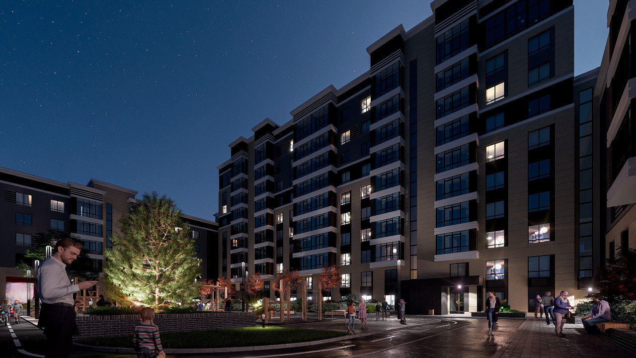 Вид на вечнозеленые деревья из окна